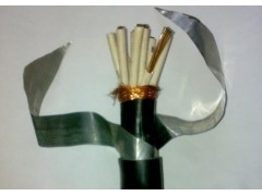 鎧裝屏蔽計算機(jī)電纜